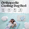 Pace Pet Arctic-Touch™ Recovery Mat ❄️🐾