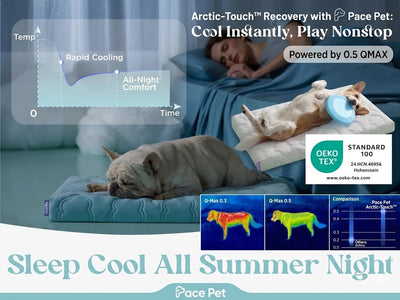 Pace Pet Arctic-Touch™ Recovery Mat ❄️🐾